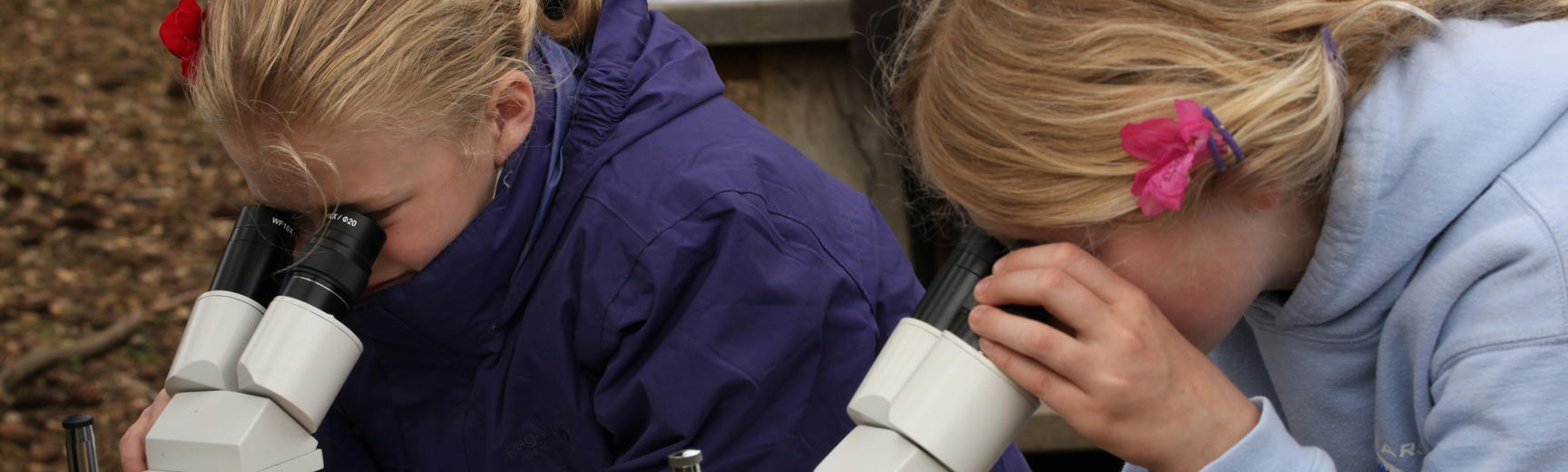 Primary School Students at Harcourt Arboretum