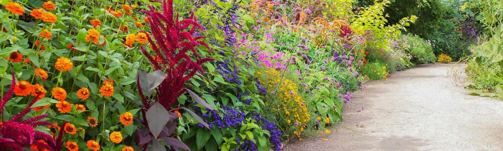 Autumn Border