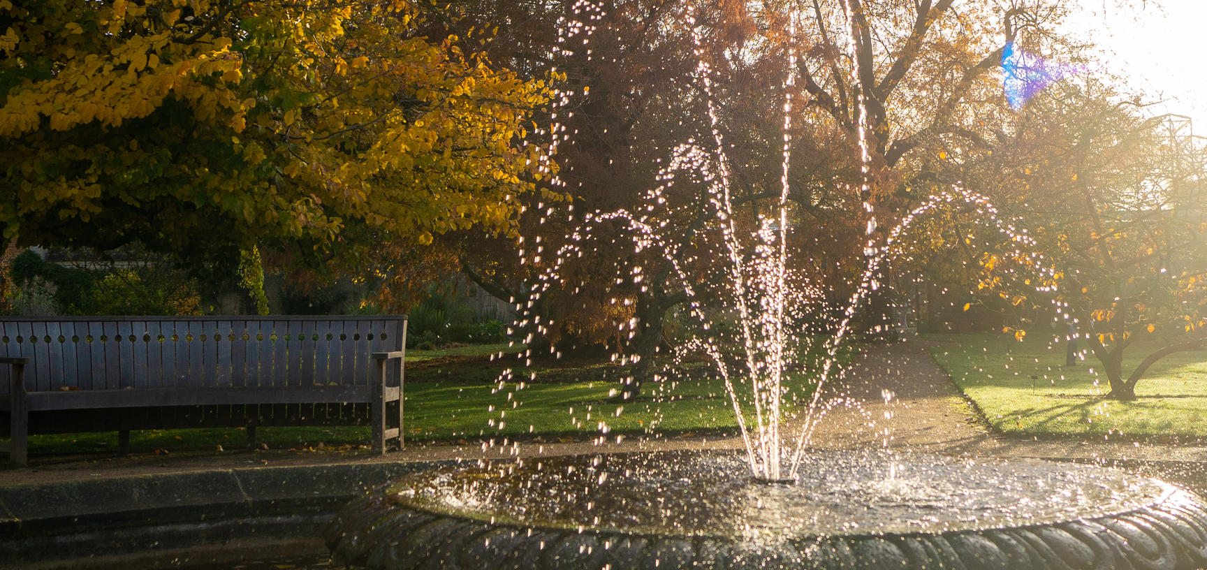 Botanic Garden in Autumn Sun