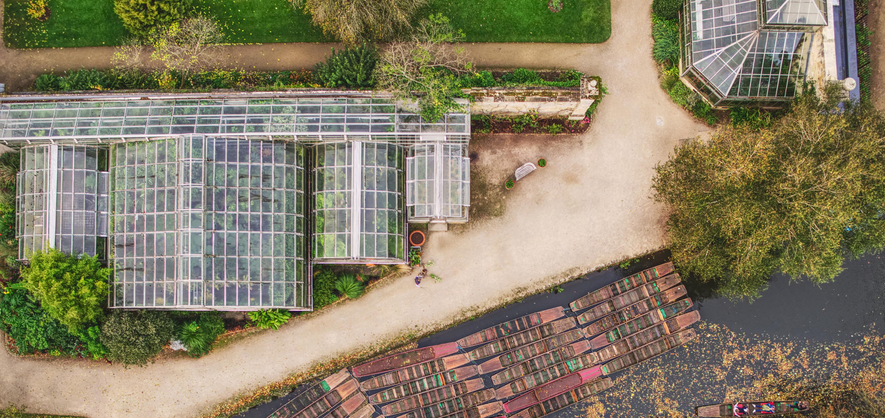 botanic garden  glasshouses  drone  punts  autumn