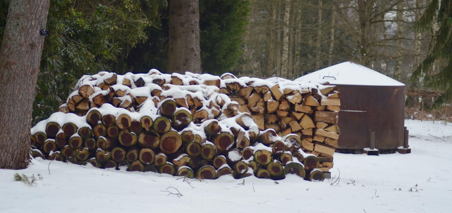 Winter Snow Charcoal Burner Arboretum