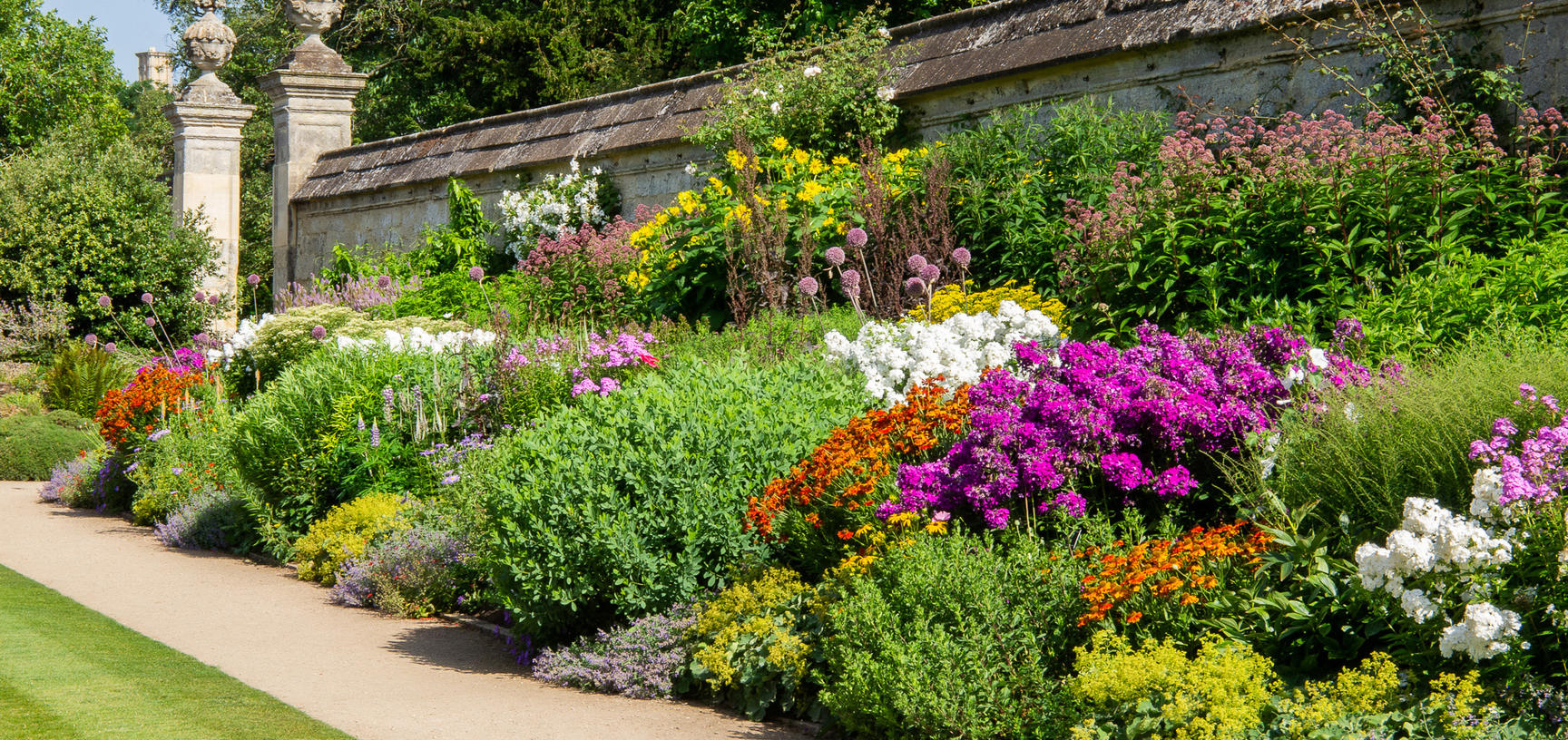 herbaceous border  summer  lower garden  oxford botanic garden