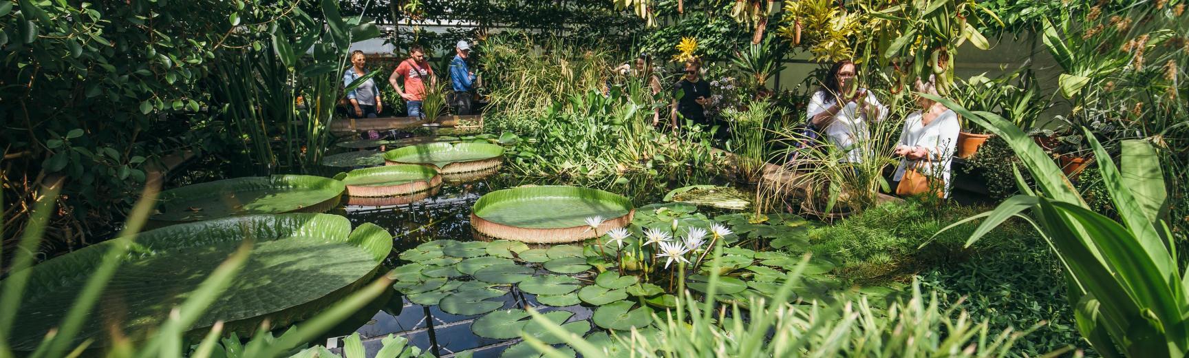 The Lily House with visitors