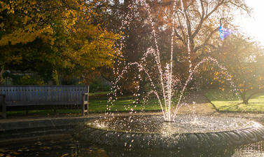 Botanic Garden in Autumn Sun