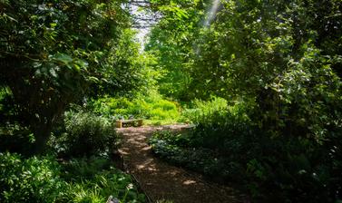 botanic garden  literary woodland  walled garden