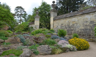 The Rock Garden