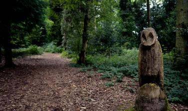 Owl Sculpture near Bluebell Wood
