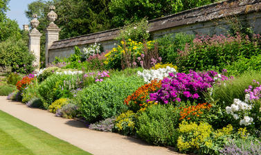 herbaceous border  summer  lower garden  oxford botanic garden