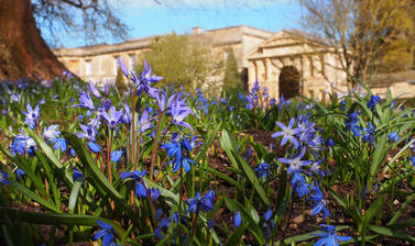 scilla and danby arch