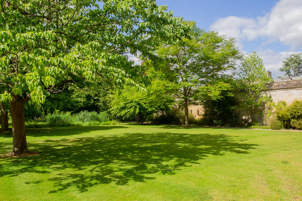 evetns lawn oxford botanic garden