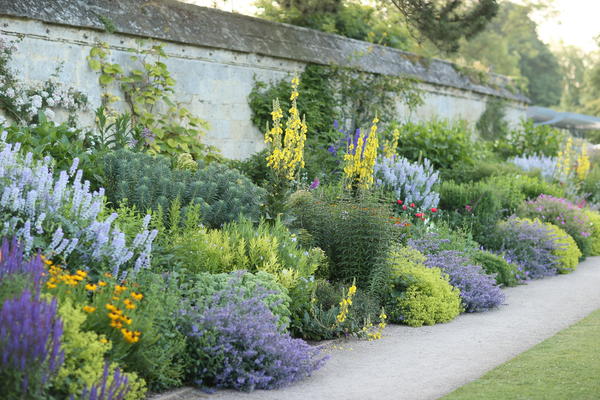 Herbaceous Border