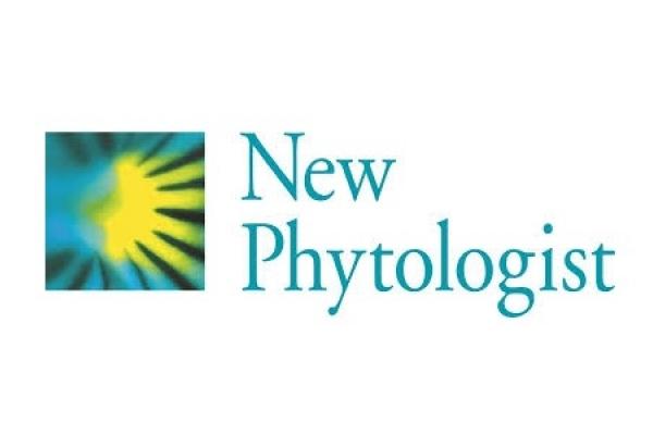new phytologist inra image