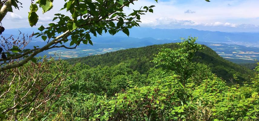 Conservation in Japan