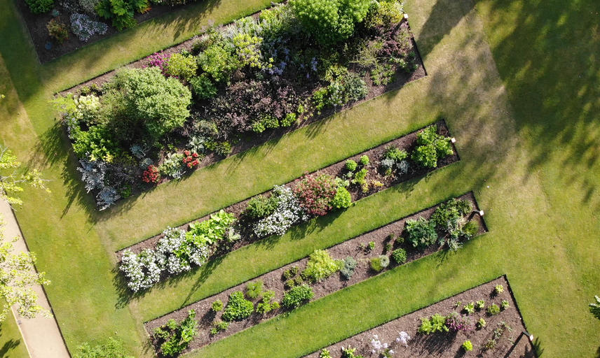 botanic garden drone  taxnomic beds 3  summer