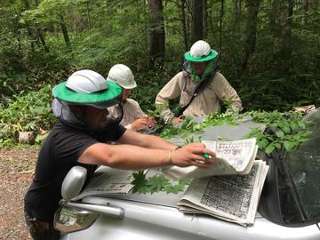  Rapid Botanic Survey work in Hokkaido, Japan