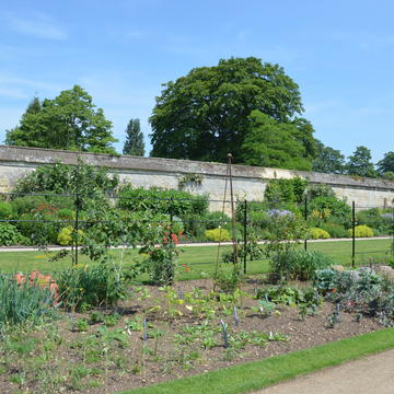 Plants that Changed the World