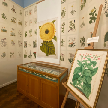 florilegium exhibition in the Herbarium Room